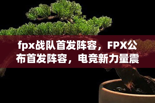 fpx战队首发阵容，FPX公布首发阵容，电竞新力量震撼登场