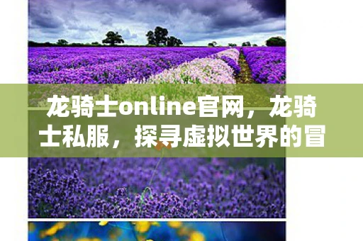 龙骑士online官网,龙骑士私服,探寻虚拟世界的冒险之旅 龙骑士online官网,龙骑士私服,探寻虚拟世界的冒险之旅