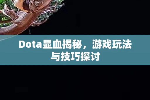 Dota显血揭秘，游戏玩法与技巧探讨