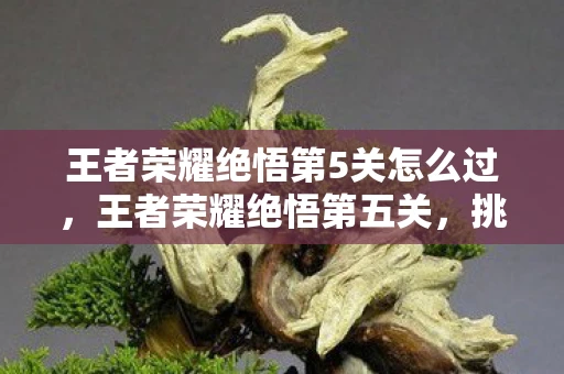 王者荣耀绝悟第5关怎么过,王者荣耀绝悟第五关,挑战与攻略资讯频道手册 王者荣耀绝悟第5关怎么过,王者荣耀绝悟第五关,挑战与攻略资讯频道手册