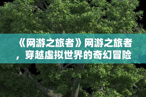 《网游之旅者》网游之旅者,穿越虚拟世界的奇幻冒险 《网游之旅者》网游之旅者,穿越虚拟世界的奇幻冒险