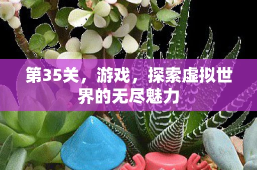 第35关,游戏,探索虚拟世界的无尽魅力 第35关,游戏,探索虚拟世界的无尽魅力