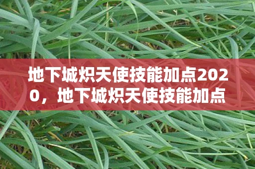 地下城炽天使技能加点2020,地下城炽天使技能加点攻略 地下城炽天使技能加点2020,地下城炽天使技能加点攻略