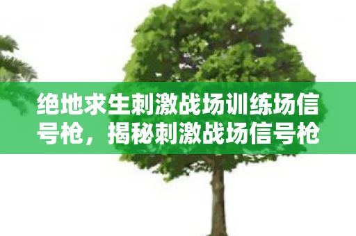 绝地求生刺激战场训练场信号枪,揭秘刺激战场信号枪位置,让你轻松找到神秘武器! 绝地求生刺激战场训练场信号枪,揭秘刺激战场信号枪位置,让你轻松找到神秘武器!