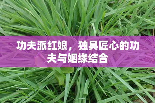 独具匠心的功夫与姻缘结合图片