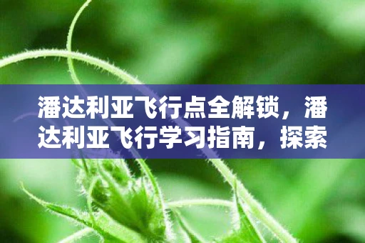潘达利亚飞行点全解锁,潘达利亚飞行学习指南,探索飞行起源地,畅游神秘大陆 潘达利亚飞行点全解锁,潘达利亚飞行学习指南,探索飞行起源地,畅游神秘大陆