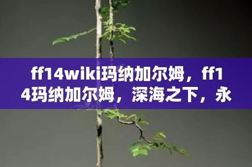 ff14wiki玛纳加尔姆，ff14玛纳加尔姆，深海之下，永恒的守护资讯频道