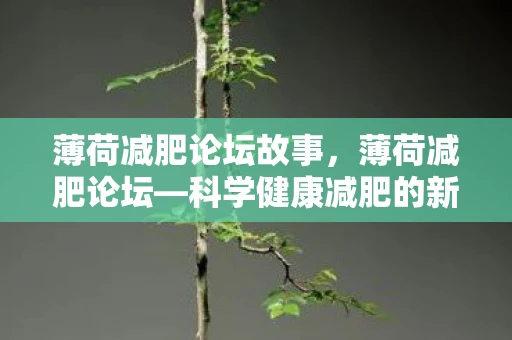 薄荷减肥论坛故事,薄荷减肥论坛—科学健康减肥的新天地 薄荷减肥论坛故事,薄荷减肥论坛—科学健康减肥的新天地