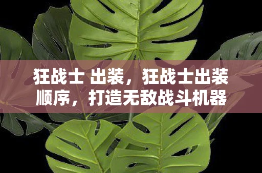 狂战士 出装,狂战士出装顺序,打造无敌战斗机器 狂战士 出装,狂战士出装顺序,打造无敌战斗机器