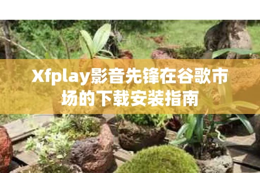 Xfplay影音先锋在谷歌市场的下载安装指南图片