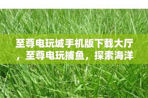 至尊电玩城手机版下载大厅,至尊电玩捕鱼,探索海洋世界的乐趣与挑战 至尊电玩城手机版下载大厅,至尊电玩捕鱼,探索海洋世界的乐趣与挑战