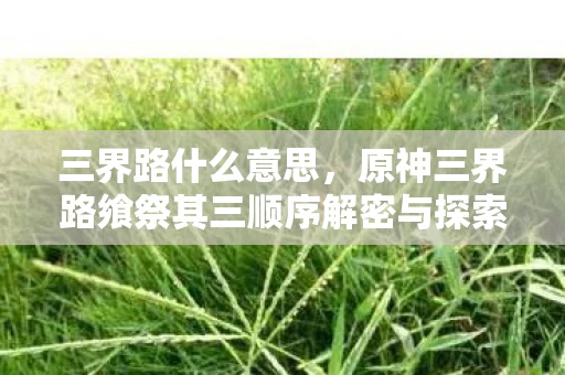 三界路什么意思,原神三界路飨祭其三顺序解密与探索的奇幻之旅 三界路什么意思,原神三界路飨祭其三顺序解密与探索的奇幻之旅