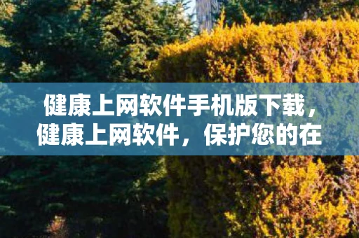 健康上网软件手机版下载,健康上网软件,保护您的在线安全与隐私 健康上网软件手机版下载,健康上网软件,保护您的在线安全与隐私