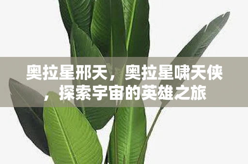 奥拉星邢天,奥拉星啸天侠,探索宇宙的英雄之旅 奥拉星邢天,奥拉星啸天侠,探索宇宙的英雄之旅