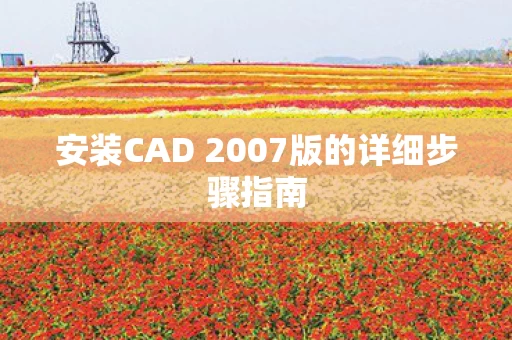 安装CAD 2007版的详细步骤指南图片