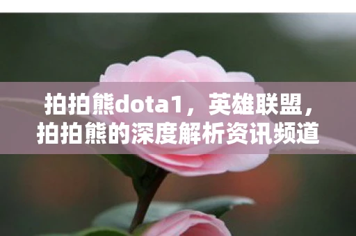 拍拍熊dota1，英雄联盟，拍拍熊的深度解析资讯频道