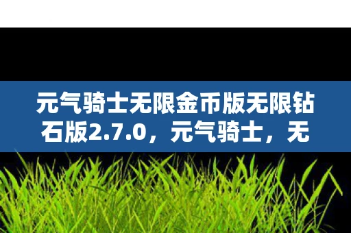 元气骑士无限金币版无限钻石版2.7.0，元气骑士，无尽财富与无限钻石版—游戏的无限魅力与财富探索