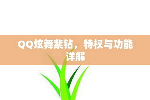 特权与功能详解图片