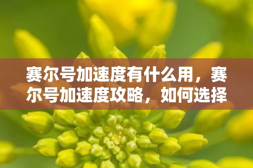 赛尔号加速度有什么用,赛尔号加速度攻略,如何选择合适的目标来提升速度 赛尔号加速度有什么用,赛尔号加速度攻略,如何选择合适的目标来提升速度