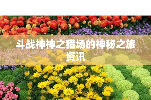 斗战神神之猎场的神秘之旅资讯图片