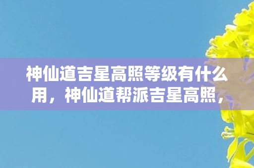 神仙道吉星高照等级有什么用，神仙道帮派吉星高照，探索游戏内的帮派文化