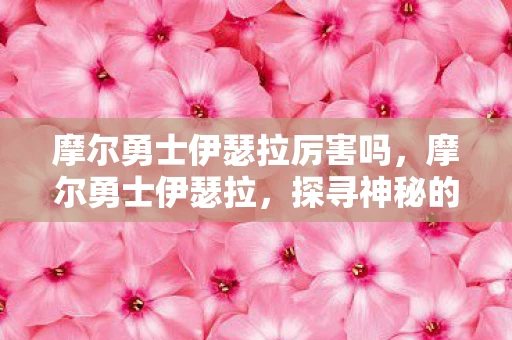 摩尔勇士伊瑟拉厉害吗，摩尔勇士伊瑟拉，探寻神秘的精灵世界