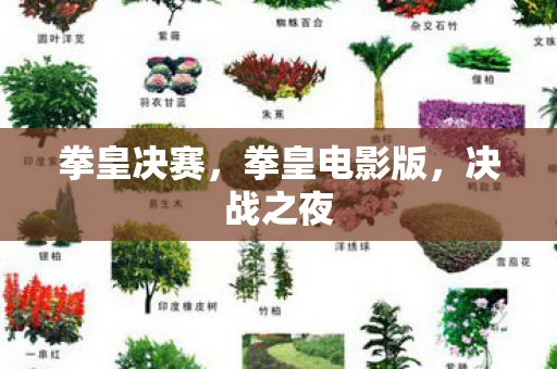 拳皇决赛，拳皇电影版，决战之夜