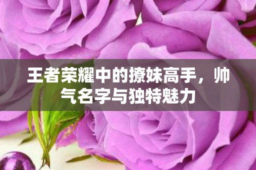 王者荣耀中的撩妹高手,帅气名字与独特魅力 王者荣耀中的撩妹高手,帅气名字与独特魅力