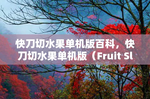 快刀切水果单机版百科，快刀切水果单机版（Fruit Slasher）一场速度与激情的水果盛宴