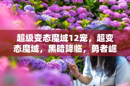 超级变态魔域12宠,超变态魔域,黑暗降临,勇者崛起 超级变态魔域12宠,超变态魔域,黑暗降临,勇者崛起