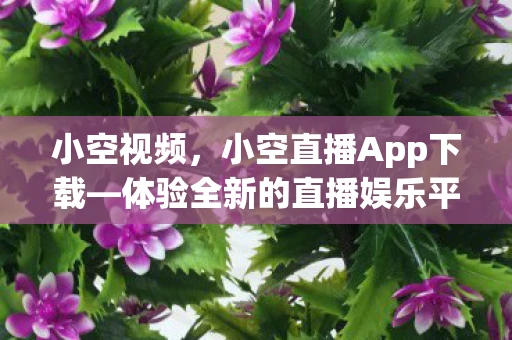 小空视频，小空直播App下载—体验全新的直播娱乐平台