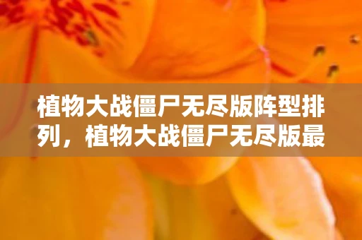 植物大战僵尸无尽版阵型排列，植物大战僵尸无尽版最强阵型揭秘与实战解析—无尽挑战的新篇章