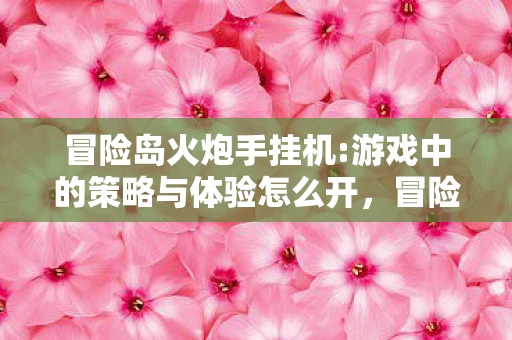 冒险岛火炮手挂机:游戏中的策略与体验怎么开，冒险岛火炮手挂机，游戏中的策略与体验