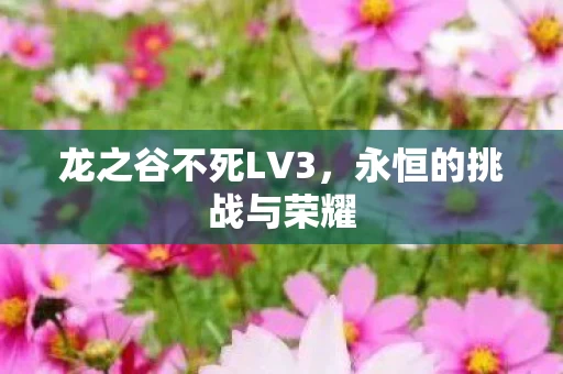 龙之谷不死LV3图片