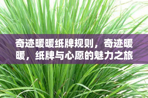 奇迹暖暖纸牌规则,奇迹暖暖,纸牌与心愿的魅力之旅 奇迹暖暖纸牌规则,奇迹暖暖,纸牌与心愿的魅力之旅