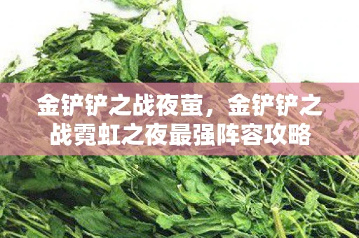 金铲铲之战夜萤,金铲铲之战霓虹之夜最强阵容攻略 金铲铲之战夜萤,金铲铲之战霓虹之夜最强阵容攻略