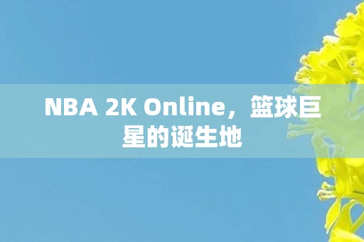NBA 2K Online图片