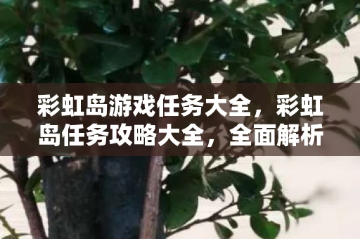 彩虹岛游戏任务大全，彩虹岛任务攻略大全，全面解析任务流程与攻略技巧