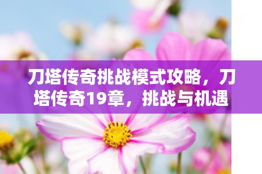 刀塔传奇挑战模式攻略，刀塔传奇19章，挑战与机遇并存