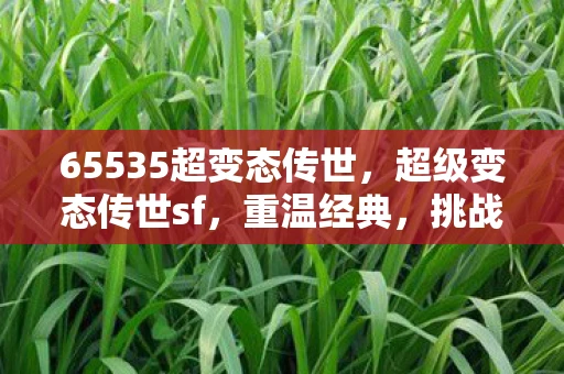 65535超变态传世,超级变态传世sf,重温经典,挑战极限! 65535超变态传世,超级变态传世sf,重温经典,挑战极限!