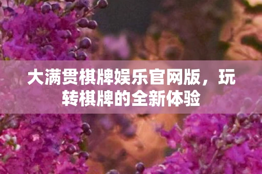 大满贯棋牌娱乐官网版,玩转棋牌的全新体验 大满贯棋牌娱乐官网版,玩转棋牌的全新体验