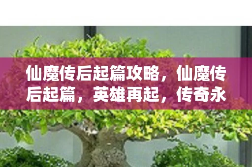 仙魔传后起篇攻略,仙魔传后起篇,英雄再起,传奇永续 仙魔传后起篇攻略,仙魔传后起篇,英雄再起,传奇永续
