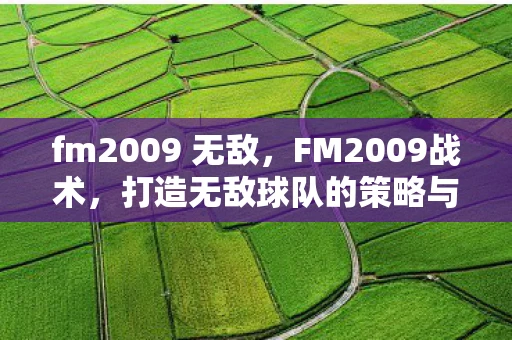 fm2009 无敌，FM2009战术，打造无敌球队的策略与技巧