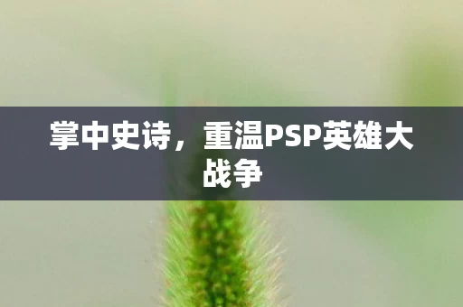重温PSP英雄大战争图片