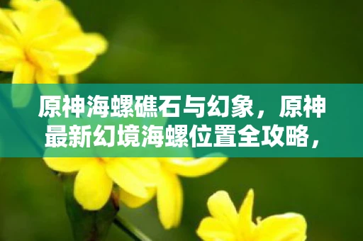 原神海螺礁石与幻象，原神最新幻境海螺位置全攻略，20个详细位置一览