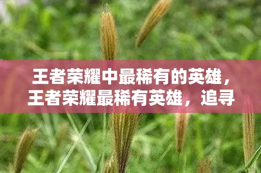 王者荣耀中最稀有的英雄，王者荣耀最稀有英雄，追寻稀有英雄，谁是最难获得的那一个？