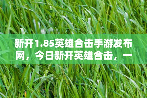 新开1.85英雄合击手游发布网，今日新开英雄合击，一场充满激情与挑战的盛宴
