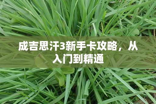 成吉思汗3新手卡攻略图片