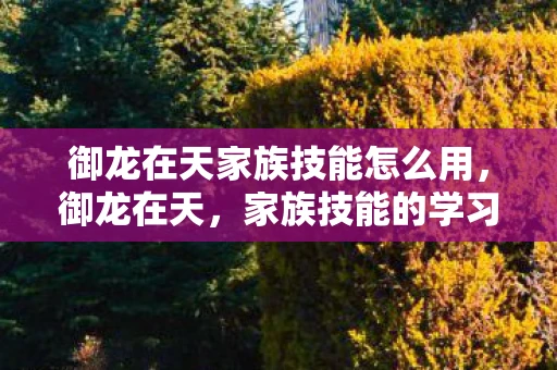 御龙在天家族技能怎么用，御龙在天，家族技能的学习与提升