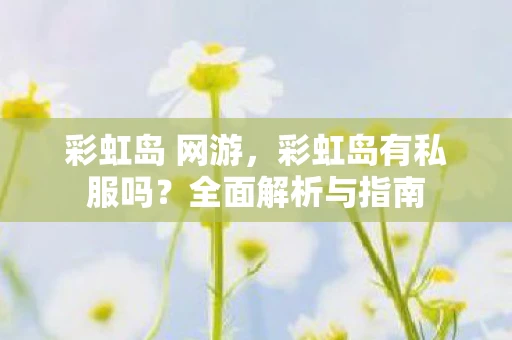 彩虹岛 网游，彩虹岛有私服吗？全面解析与指南